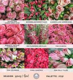 a bunch of different types of flowers with the words season spring and summer on them