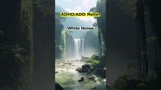 #adhd #whitenoise #focus #sleep #naturalsoundsADHD/ADD RELIEF : WHITE NOISE. NATURAL SOUNDS (SCIENTIFCALLY PROVEN) - TO IMPROVE FOCUS AND SLEEP.ADHD/ADD Reli... Vipassana Meditation, Rain Sounds For Sleeping, Pink Noise, Relaxing Songs, Yoga Music, Ambient Music, Improve Focus, Body Healing, Sound Of Rain