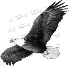 an eagle flying in the sky with its wings spread out and it's talon extended