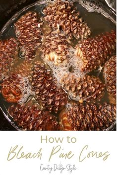 a pan filled with lots of food and the words how to bleach pine cones