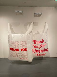 two bags with thank you for shopping written on them are sitting in an empty room