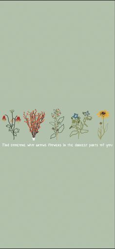 four different types of plants with the words find someone who knows flowers in the deepest parts of you