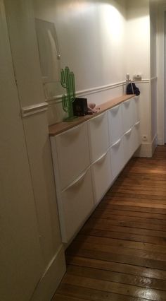 an empty room with wooden floors and white cabinets on either side of the door is a green cactus