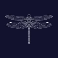 a drawing of a dragonfly on a dark background