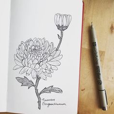 a drawing of a flower on top of a wooden table next to a marker and pen