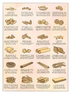 a poster showing different types of bread