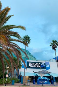 palm trees in front of a building with the words aquarium on it's side