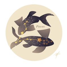 two black and gold koi fish with stars on their backs in a circular frame