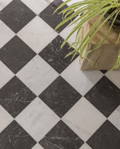 a potted plant sitting on top of a black and white checkered tile floor