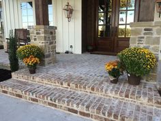 two potted flowers sitting on the front steps of a house with brick pavers