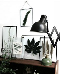 a desk with pictures, plants and a lamp hanging from the wall next to it