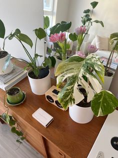 three potted plants on a table in front of a mirror and other items that are sitting on top of the table