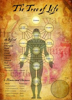 Your Soul Map - The Tree of Life According to Kabbalah Kabbalah Tree Of Life, Meaningful Symbol Tattoos, The Tree Of Life, Meaningful Life, Shadow Work, Sacred Geometry