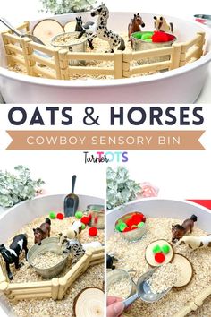 this is an image of toys and horses in a bowl