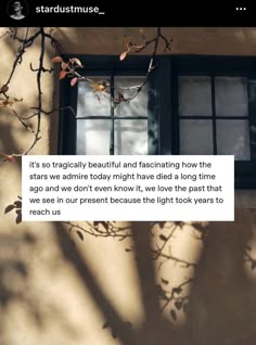 the shadow of a tree is cast on a building's wall with an open window