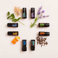 AromaTouch Technique | Aceites esenciales dōTERRA Aromatouch Technique, Deep Blue Doterra, Doterra Balance, Doterra Lavender, Doterra Business, Essential Oils For Pain, Essential Oils Guide, Essential Oils For Hair, Beauty Products Photography