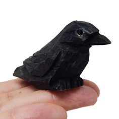 a small black bird sitting on top of a person's hand