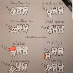 an image of dental hygiene chart with teeth