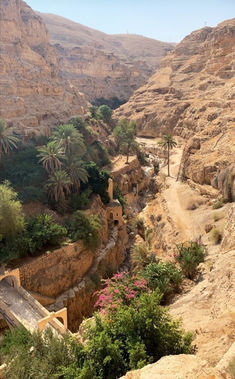 a narrow road in the middle of some mountains with palm trees on each side and a river running through it