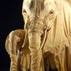 an elephant and its baby standing next to each other in front of a black background