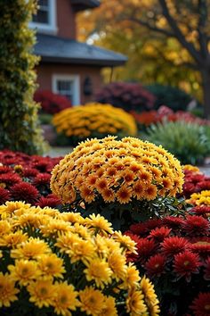 many different colored flowers in front of a house