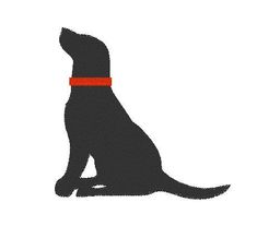 a black dog with a red collar sitting down