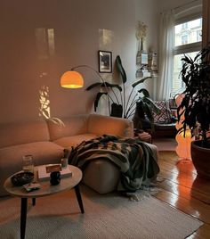 a living room filled with furniture and lots of plants on the floor next to a window