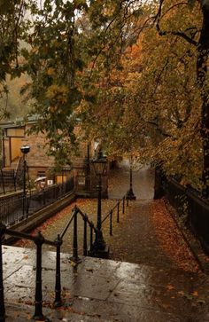 an image of a rainy street scene with umbrellas on the ground and trees in the foreground