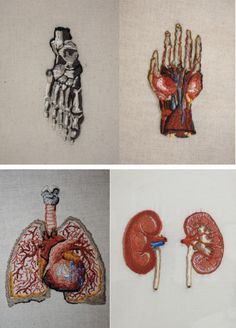 four different types of human body and hand embroidered onto fabric, each with an organ in the middle