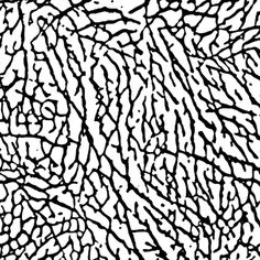 an abstract black and white drawing with lines on it's surface, in the middle of