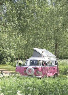 an old vw camper van is parked in the middle of some tall grass