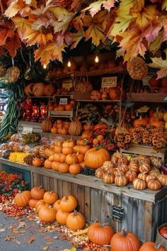 an outdoor market filled with lots of pumpkins