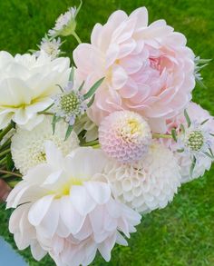 a person holding a bouquet of flowers in their hand