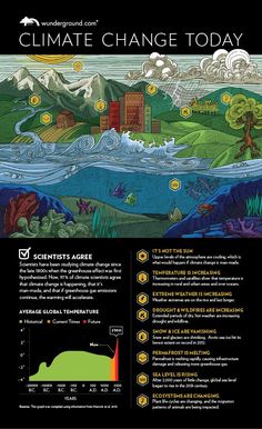 CAUSE; Infographic: Climate Change Today | Weather Underground. Information about the effects of climate change and what it is doing to our planet. Todays Weather, Extreme Weather Events, Earth And Space Science, Weather Underground, Weather And Climate, Environmental Issues, Environmental Science, Sea Level