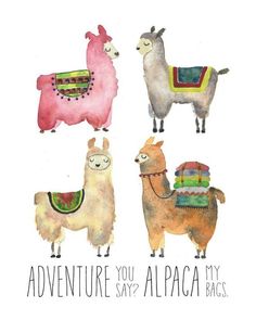 three llamas with sweaters on their backs and the words adventure you're alpaca my