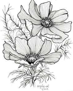 a drawing of two flowers with leaves on the bottom and one flower in the middle