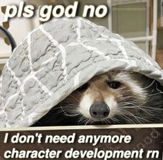 Alec Core, Raccoon Memes, Had Enough