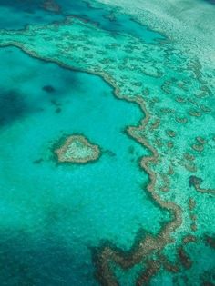 an aerial view of the great barrier reef in the blue water with corals on it