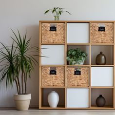 a wooden shelf filled with lots of different types of baskets next to a potted plant