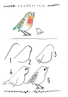 an image of birds with numbers on the bottom and one bird sitting on top of each other