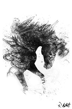 the silhouette of a woman with her hair blowing in the wind