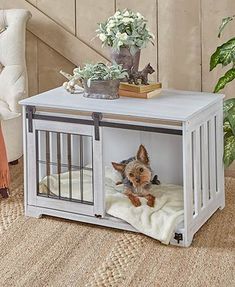 a small dog is sitting in its cage on the floor next to a chair and potted plant