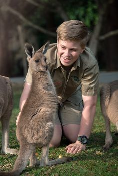 a man kneeling down next to two kangaroos