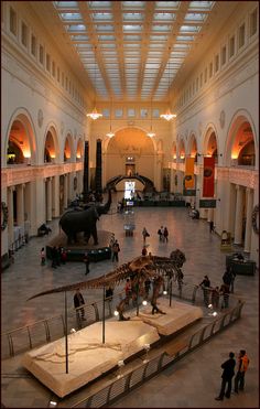 an indoor museum filled with lots of dinosaurs and people looking at them in the distance