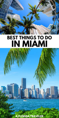 the best things to do in miami, florida