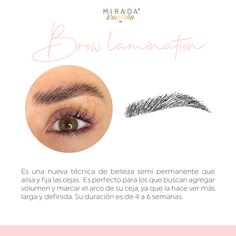 Eyebrow Lamination Quotes, Eyebrow Care, Brow Studio, Esthetician Marketing, Eyelash Technician, Brow Artist, Brow Lash, Brow Lamination, Instagram Makeup