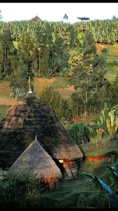 an african village with thatched roofs and palm trees in the backgrouds