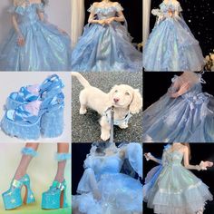 a collage of photos showing different styles of blue dresses and shoes, with a white dog in the foreground