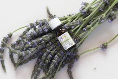 12 Must-Have Essential Oils | Aura Cacia Aura Cacia Essential Oils Recipes, Aura Cacia Essential Oils, Empower Women, Essential Oil Recipes, Oil Recipes, Diy Videos, Mind Body, Clean House, Natural Remedies