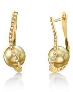 Golden South Sea Pearl & Diamond Eliza Earrings. #pearls  #golden #earrings Formal Gold Diamond Earrings With Pearls, Formal Gold Pearl Diamond Earrings, Illusion Earrings, Pearl Earrings Designs, Classic Pearl Earrings, South Sea Pearls Earrings, Single Pearl Necklace, Golden Pearl, Golden South Sea Pearls